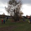 20161022_154528